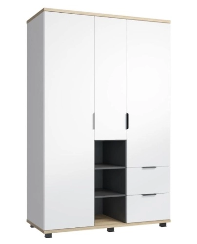 Шкаф комбинированный Скайлайт СЛ-3К (Блэквуд ячменный/Графит/Белый)